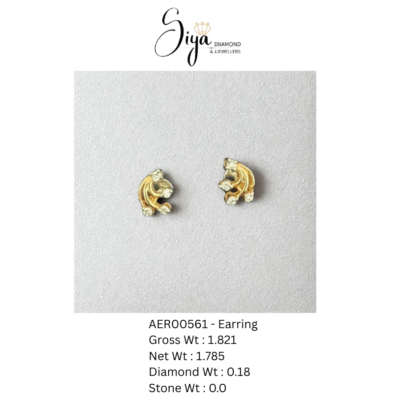Earring